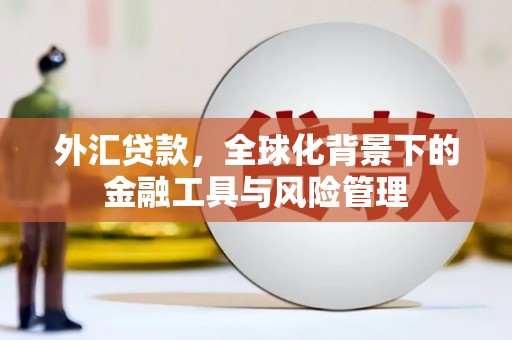 澧县外汇贷款，全球化背景下的金融工具与风险管理