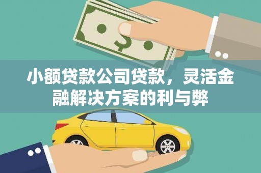澧县小额贷款公司贷款，灵活金融解决方案的利与弊
