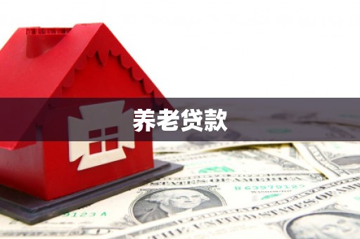 澧县养老贷款
