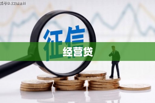 澧县经营贷