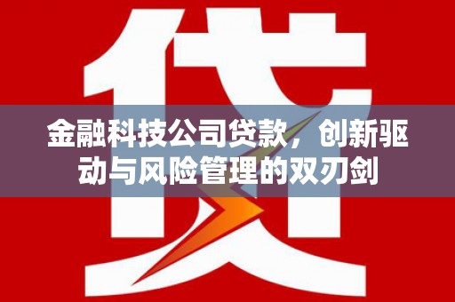澧县金融科技公司贷款，创新驱动与风险管理的双刃剑