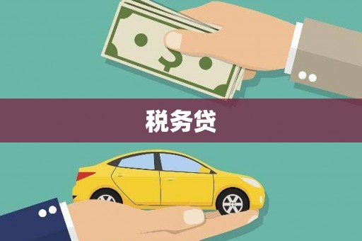 澧县税务贷